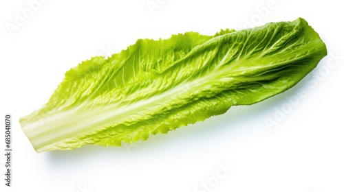 Fresh vegetables, food and environment concept,Romaine lettuce on white background,