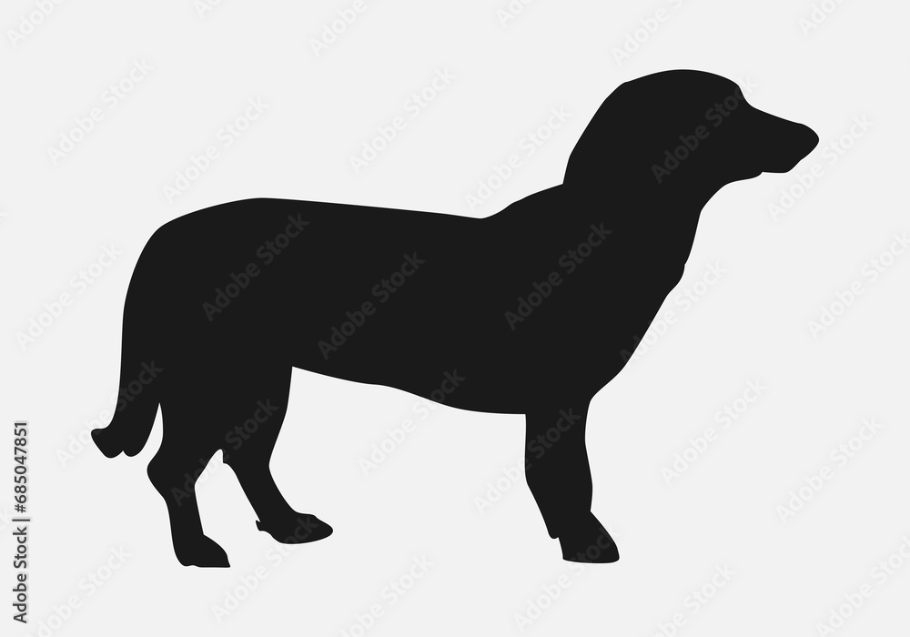 Dachshund dog side view. isolated on white background. pet, cute, animal. silhouette vector illustration.
