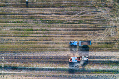 Aerial drone top view of harvesting process, combine harvesters work on the field photo