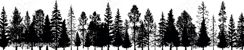 Set of horizontal silhouettes of coniferous spruce fir trees. Generative AI