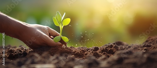 Expert farmer checking soil...