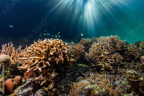 Fototapeta Naklejka Na Ścianę i Meble -  Underwater scene of sunlit coral reef