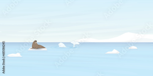 Beluga whale and Walrus on ice floe with coastal and iceberg behind vector illustration.