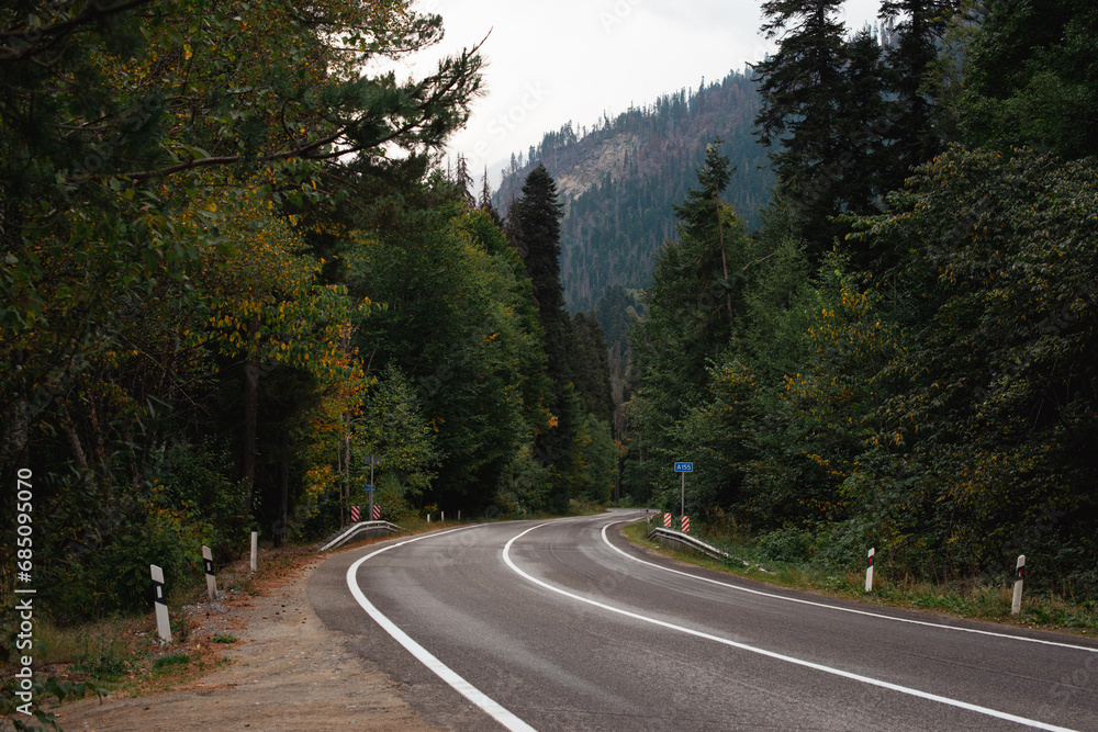 mountain road in the autumn forest of the caucasus mountain road in the autumn forest of the caucasus