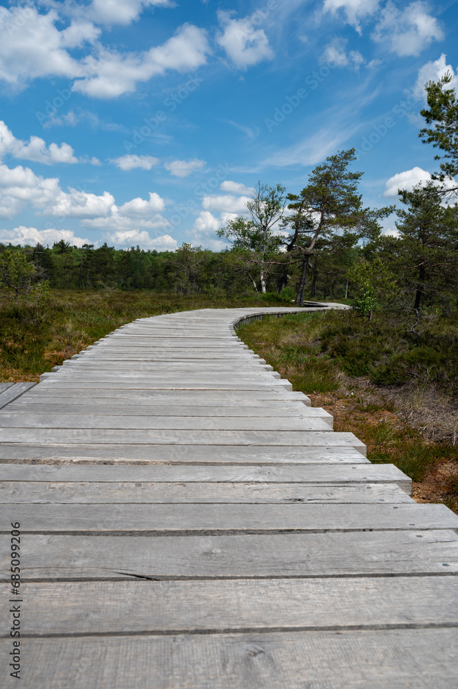 New Wooden path in a moor Landscape
