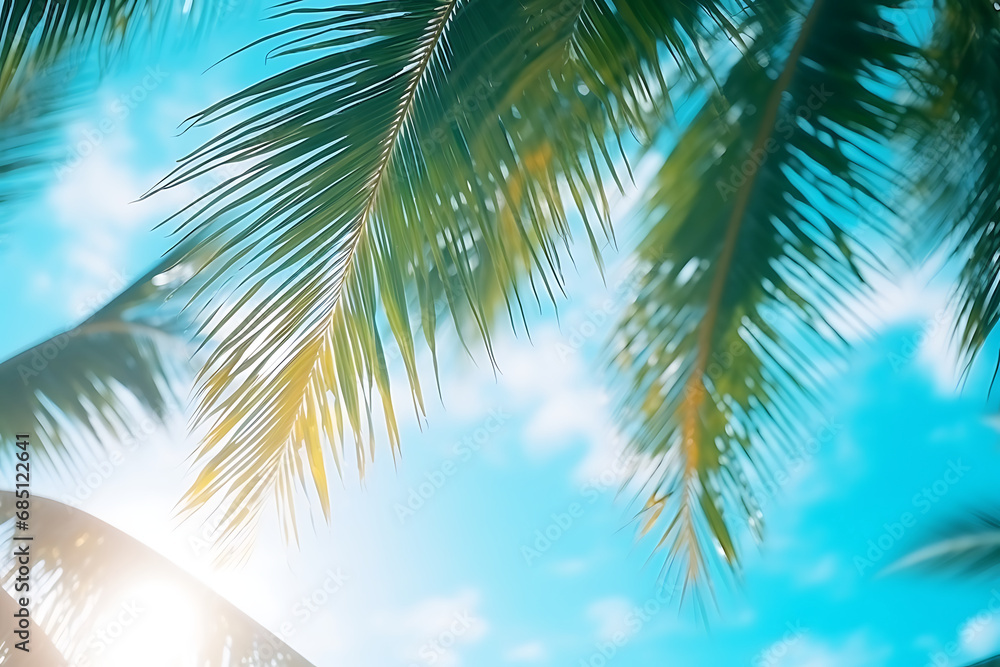 summer background with tropical palm leaves and turquoise sky