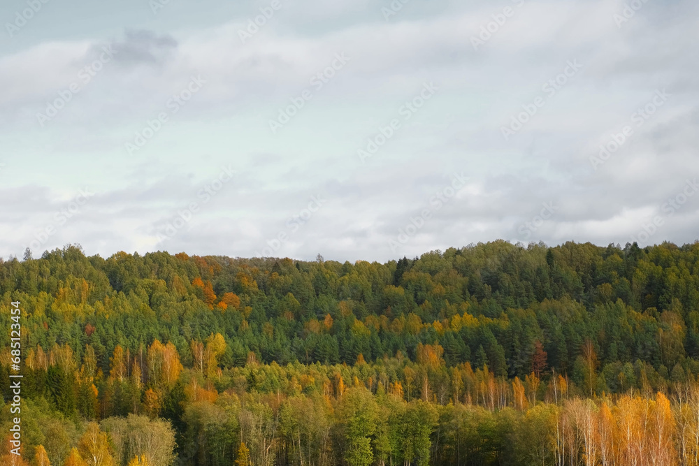 Late autumn in a wild forest area. Low rain clouds over trees on the horizon. Aerial drone shot. Winter moody wood view. Distant mysterious nature landscape. Woodland Valley with a Lake in the far. 4K