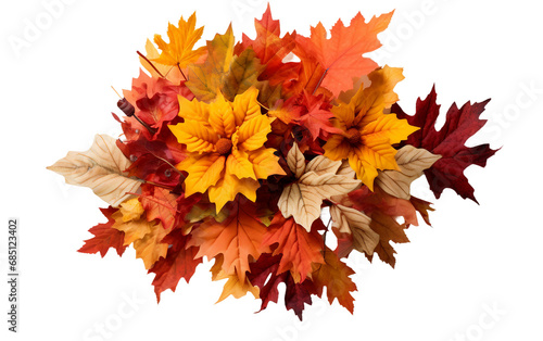 Rustic Autumn Arrangement On Transparent Background