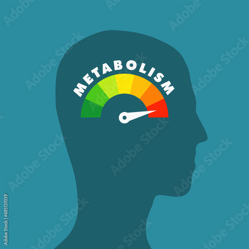 High metabolism health concept. Simple illustration.