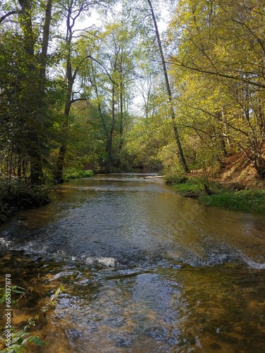 Szumy nad Tanwią