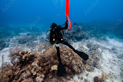 Diver exploring coral reef with safety marker buoy in Cancun, Mexico photo