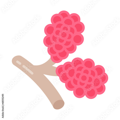 58	Tittle	Respiratory Bronchioles icon in vector. Logotype