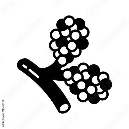 58	Tittle	Respiratory Bronchioles icon in vector. Logotype