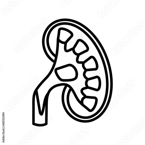 Renal Pelvis icon in vector. Logotype