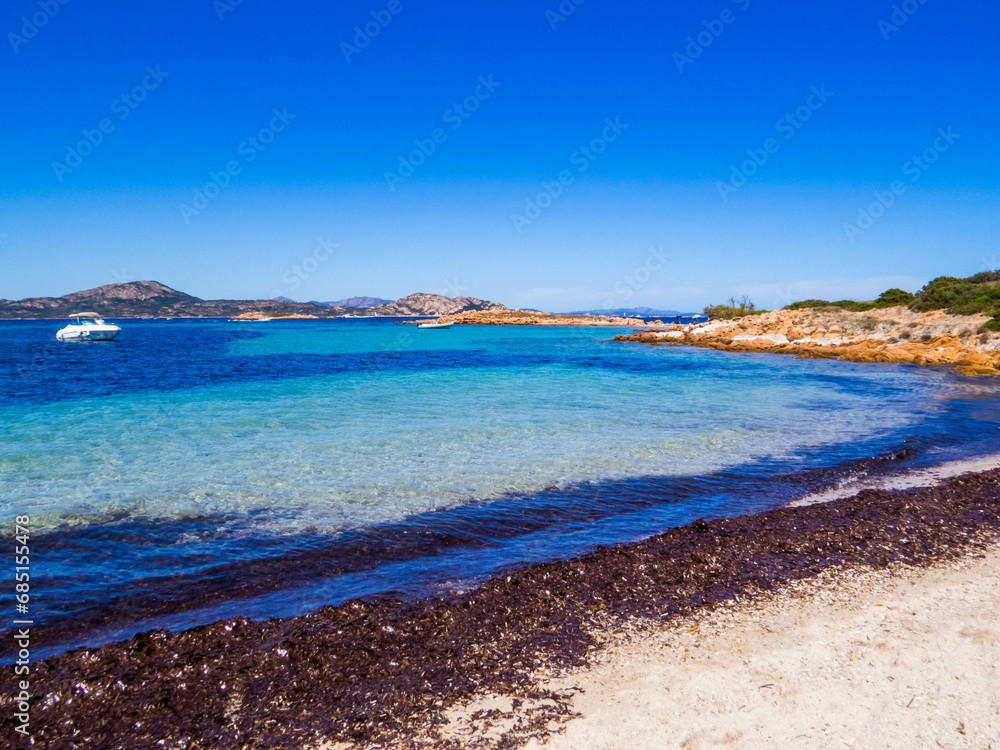 Seaweed in Tavolara Island, Sardinia