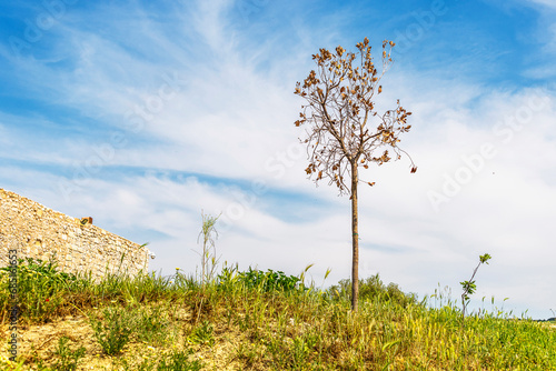 Springtime Lucani countryside landscapes, Basilicata, Italy 