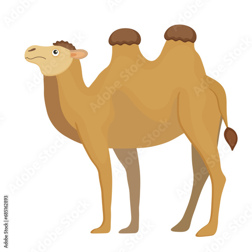Exotic brown camel, Egypt cartoon mammal. Cute, funny, happy, childish animal. Safari journey, sahara trip. Two humps, bedouin mount. Isolated on white background. Vector illustration
