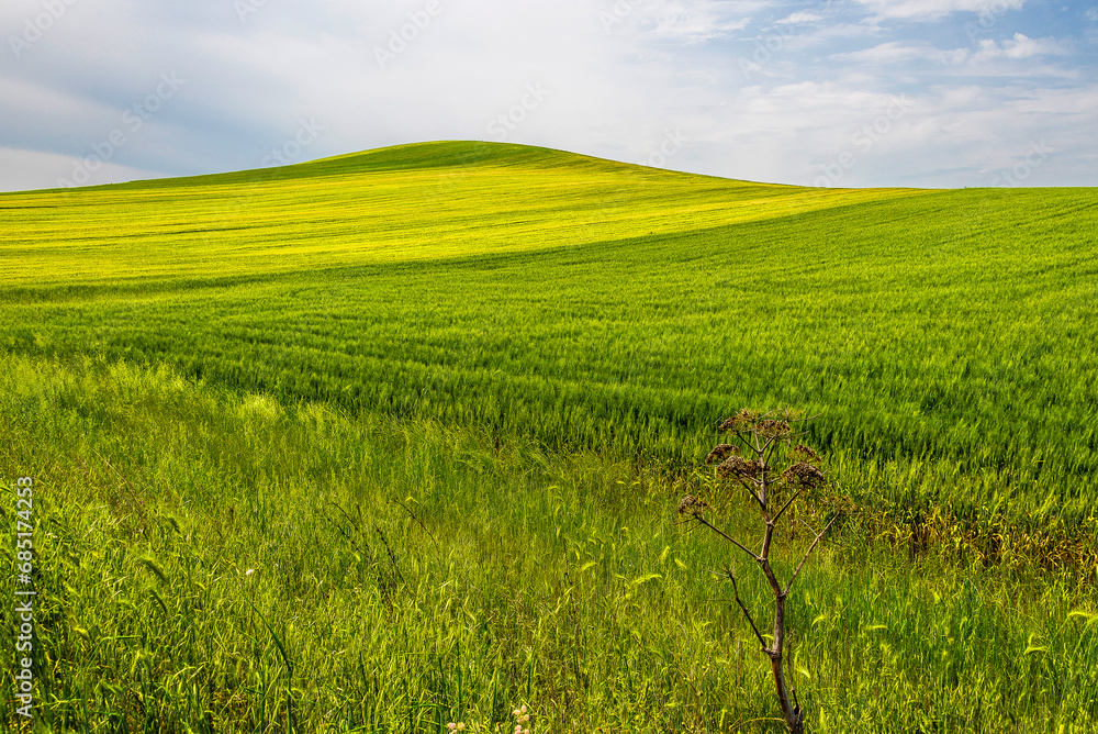 Naklejka premium Springtime Lucani countryside landscapes, Basilicata, Italy
