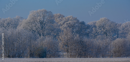 Schneelandschaft oder Winterlandschaft, Schnee und Eis bedeckte Bäume an einem Ackerland  © Natascha