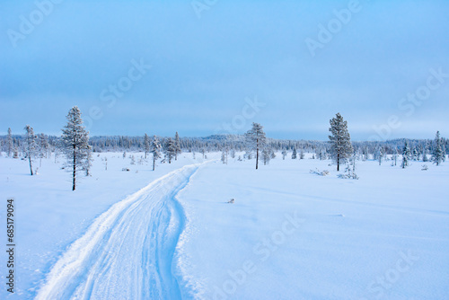 Snowmobile tracks in the snowy forest-tundra
