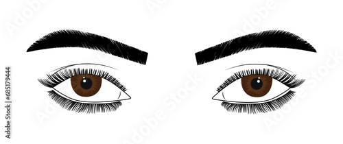Brown eyes of woman with long lashes. Closeup detail illustration of beautiful open female eyes with eyelashes and eyebrows isolated on white background. Make-up concept, fashion and beauty. Vector 