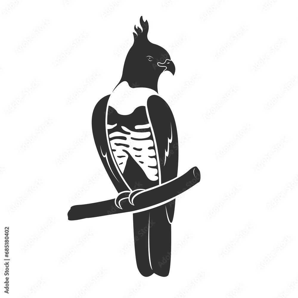 Vector of black baza bird design. Birds. Wild Animals. - obrazy, fototapety, plakaty 