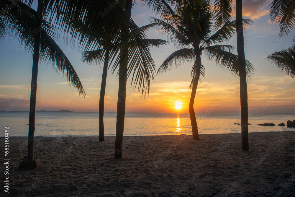 Coconut trees on a tropical beach. Sunset.