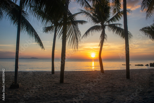 Coconut trees on a tropical beach. Sunset.