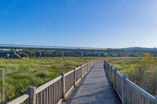 wooden walkway or bridge over the marshes © Antonio