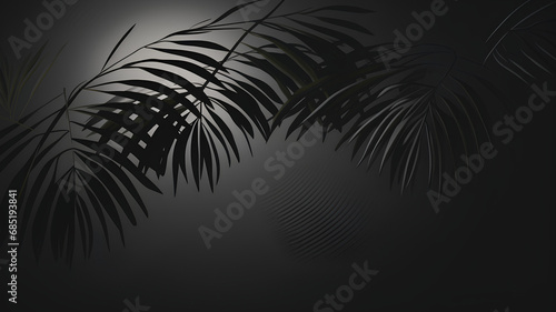 Shadow of palm leaves