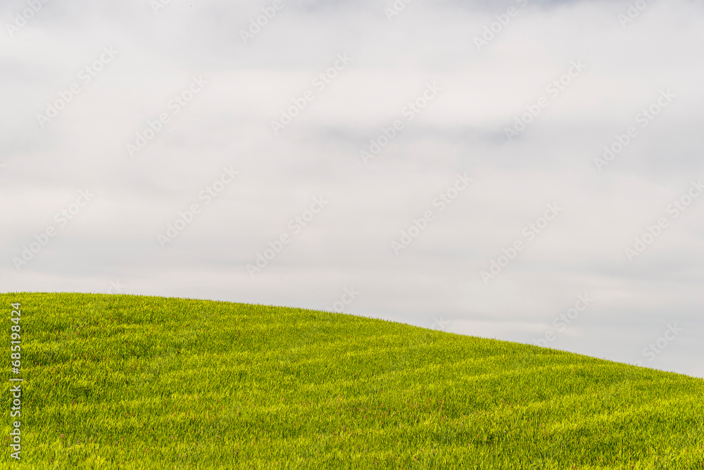 Fototapeta premium lucani countryside landscpe during the springtime, Basilicata, Italy