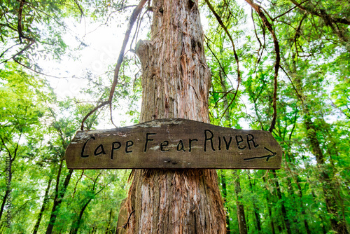 Wooden Cape Fear River sign attached to a tree in North Carolina photo