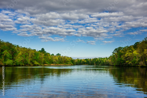 A peaceful wooded riverbank along the Cape Fear River, North Carolina photo