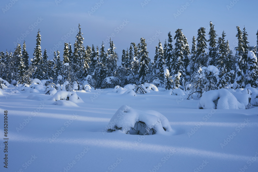 Winter of the Totenaasen Hills, Oppland, Norway.