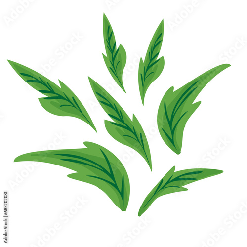 Fototapeta Naklejka Na Ścianę i Meble -  leafs in vector.plant in semi-realistic style.objects for design of application website leaflet booklet advertising packaging sticker.