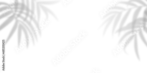 Blurred effect of palm leaves overlay. Foliage with sunlight. Presentation with mock up, copy space, template. Realistic plant. Tropical tree leaf. White background. Vector illustration