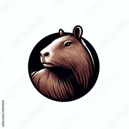 photos of the capybara or greater capybara, the largest living rodent, capybara illustrations and vectors for prints and publications, capybara graphic resources