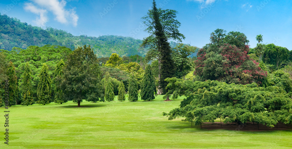 A botanical garden with vast lawns and rare plants. Kandy, Sri Lanka. Wide photo.
