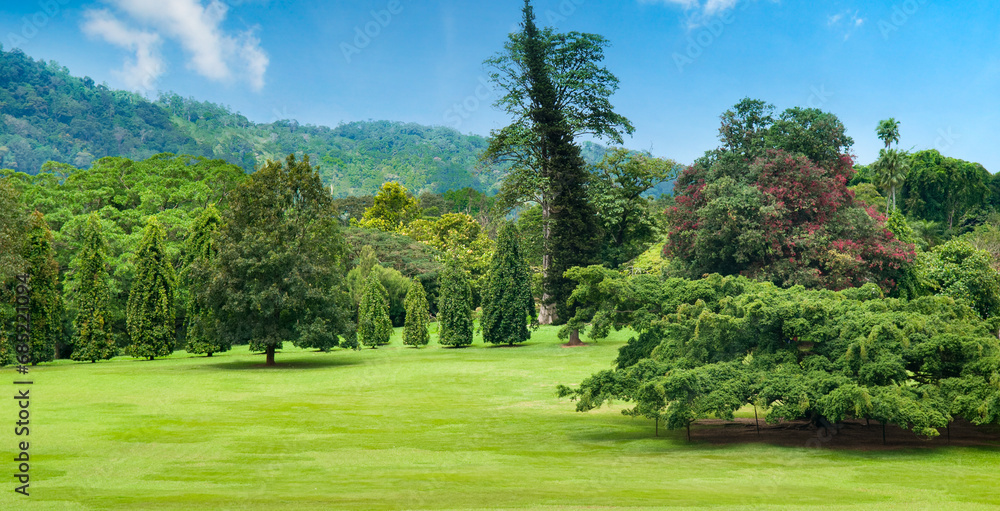 A botanical garden with vast lawns and rare plants. Kandy, Sri Lanka. Wide photo. A botanical garden with vast lawns and rare plants. Kandy, Sri Lanka. Wide photo.
