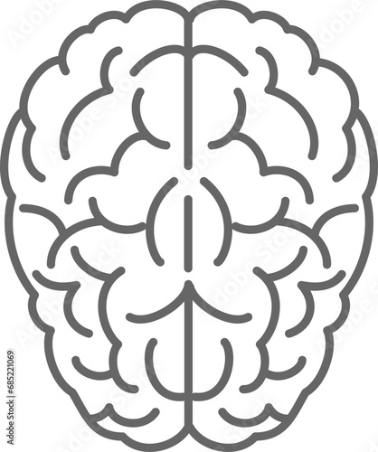 Brain, left and right cerebral hemispheres. Simple graphic vector illustration, top view.