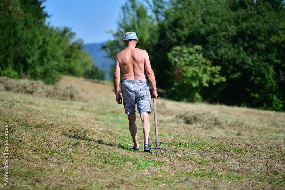 Farmer stacking hay with fork traditional in the village on field