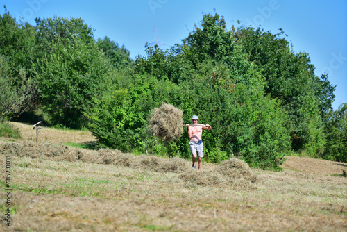 Hay stacking with fork in the village in traditional way 
