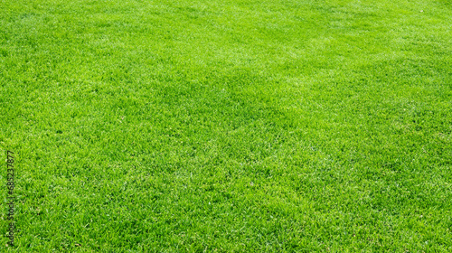 a green, neatly trimmed lawn © belavinstock