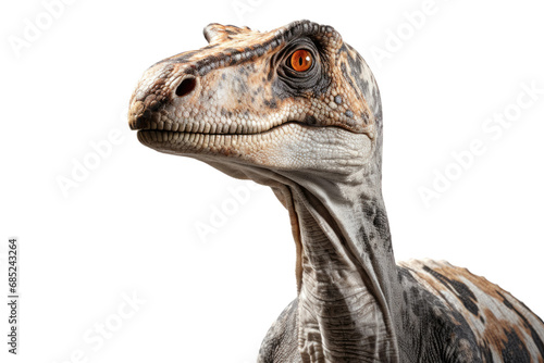 Compsognathus Agile Predator on a White or Clear Surface PNG Transparent Background