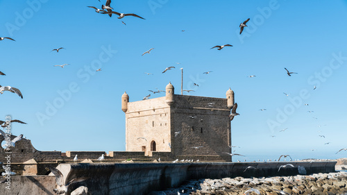 Sqala du Port, a historic fortress overlooking the Atlantic Ocean at the fishing port of Essaouira with many seagulls flying overhead, Morocco. photo