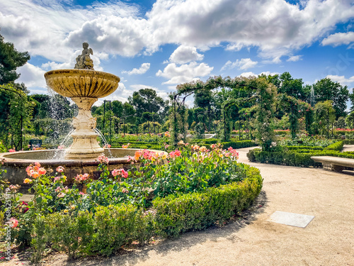 madrid rose garden