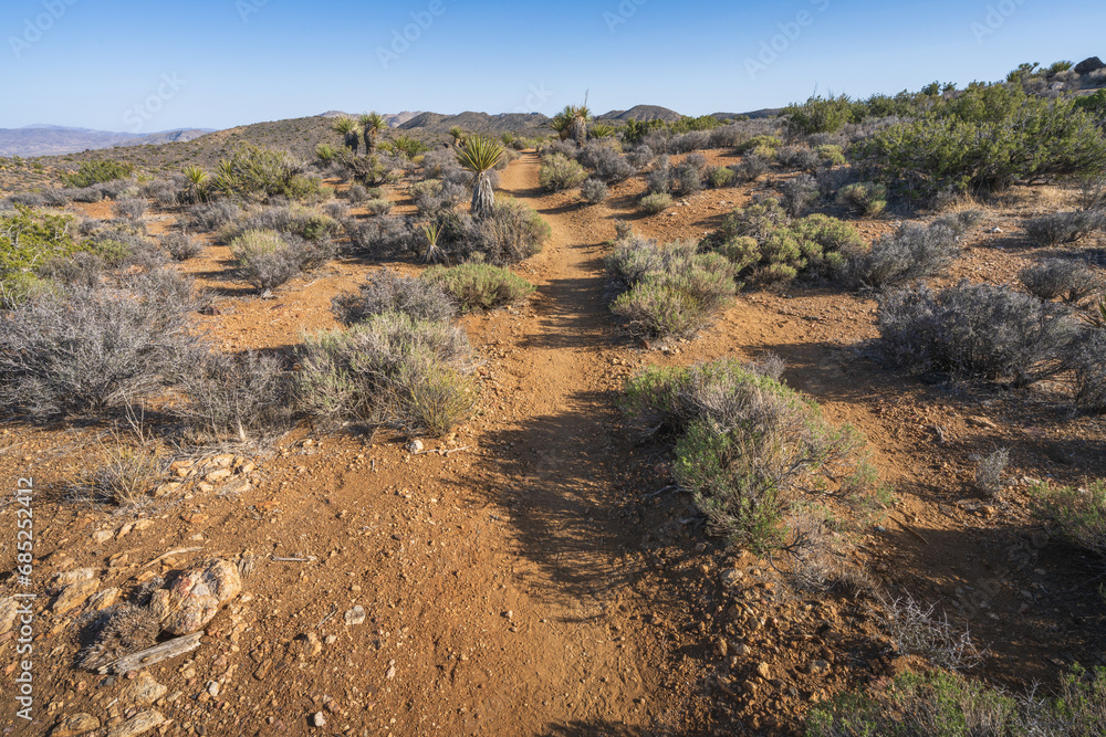 hiking the lost horse mine loop trail in joshua tree national park, california, usa