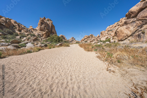 hiking the lost horse mine loop trail in joshua tree national park, california, usa