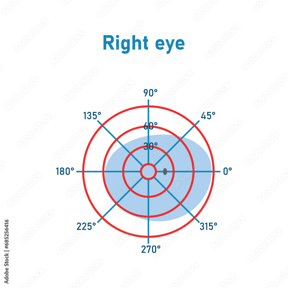 The visual field of the left and right eye. Binocular fusion and depth perception. Scientific resources for teachers and students. The visual field of the left and right eye. Binocular fusion and depth perception. Scientific resources for teachers and students.