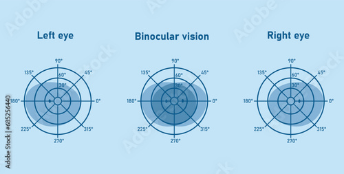 The visual field of the left and right eye. Binocular fusion and depth perception. Scientific resources for teachers and students. photo